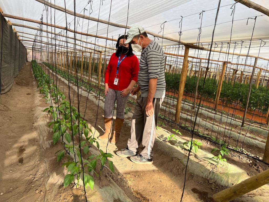 Seremi de Agricultura (S), Tonya Romero, conoció la producción hortícola de Óscar Gaete, agricultor de Salamanca