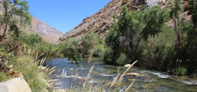 Seremi de Medio Ambiente: “Existe un déficit de infraestructura y un abuso del recurso hídrico”