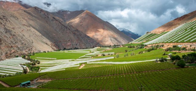 Valle de Elqui alcanza el 70% de ocupación durante fin de semana largo