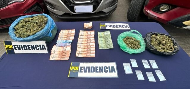 Nueve detenidos, 26 kilos de marihuana decomisada y ocho viviendas allanadas dejó operativo antidrogas en Los Vilos