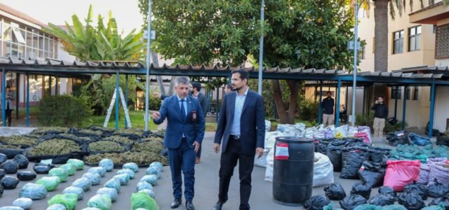 Ley Antinarcotráfico mejorará persecución del tráfico de drogas y el crimen organizado