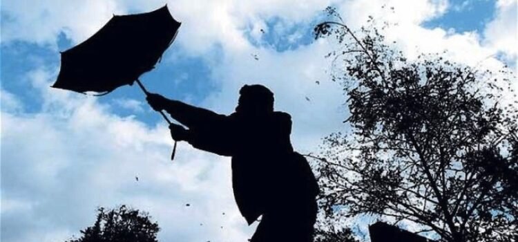 Se declaró alerta temprana preventiva por vientos moderados a fuertes en siete comunas de la región