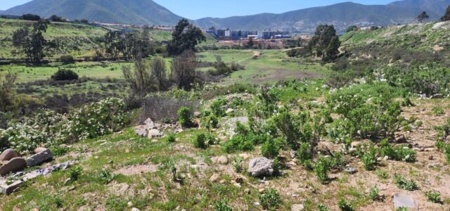 Acuerdan gestión colectiva para lograr declaratoria de nuevo humedal urbano regional en sector Peñuelas