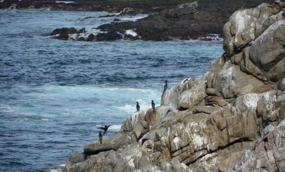 Temperaturas cálidas del mar anuncian la llegada del Fenómeno de El Niño en la región de Coquimbo