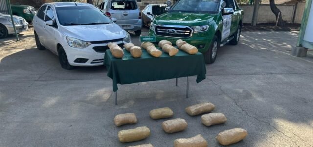 Fiscalía de Los Vilos formalizó por tráfico de drogas a dos sujetos extranjeros quienes fueron sorprendidos con 20 kilos de marihuana