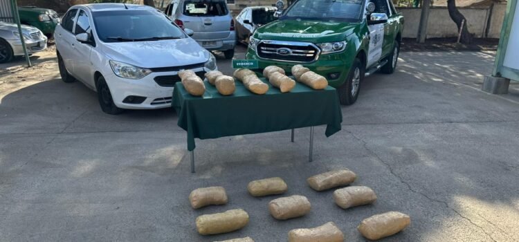 Fiscalía de Los Vilos formalizó por tráfico de drogas a dos sujetos extranjeros quienes fueron sorprendidos con 20 kilos de marihuana