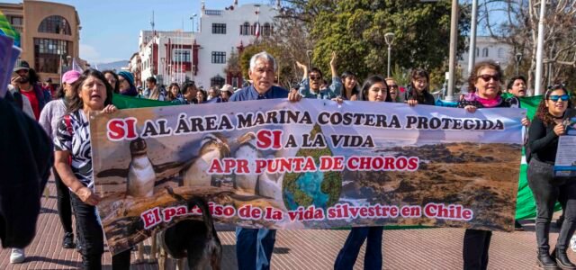 Dirigentes, ambientalistas y actores políticos de la región se manifestaron en favor del Área Marina protegida para el Archipiélago de Humboldt