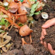 Proyectos UTalca dan nuevos usos a los desechos de la industria alimentaria