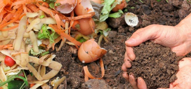 Proyectos UTalca dan nuevos usos a los desechos de la industria alimentaria