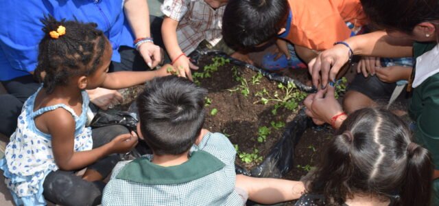 Alan Carrasco, subgerente sustentabilidad Orizon: “La idea es capacitar a más de 14 mil estudiantes de Coquimbo en educación ambiental”