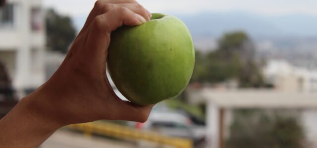 Tome nota: Cinco claves para mantener en buenas condiciones la salud cardiovascular