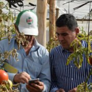 Alcalde de Monte Patria manifiesta preocupación por falta de estrategia frente a futura crisis de la agricultura