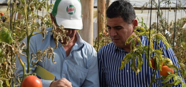 Alcalde de Monte Patria manifiesta preocupación por falta de estrategia frente a futura crisis de la agricultura