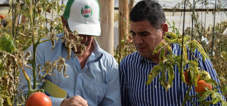 Alcalde de Monte Patria manifiesta preocupación por falta de estrategia frente a futura crisis de la agricultura