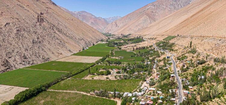 Los preferidos para festejar: Valle del Elqui encabeza el Ranking de Visitas para Fiestas Patrias