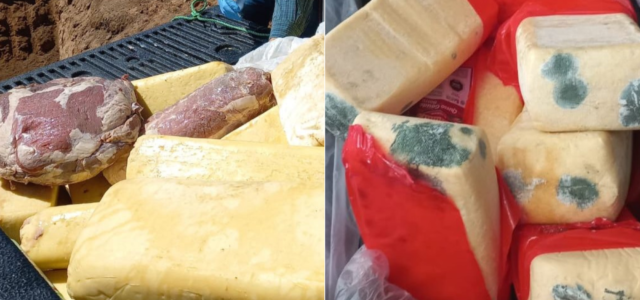 Los Vilos: Decomisan 545 kilos de productos lácteos y cárneos por fiscalizaciones de Fiestas Patrias 2023
