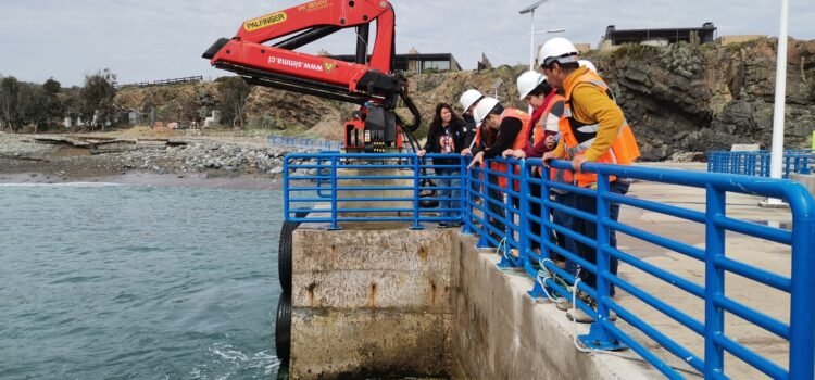 Obras Públicas entregó terreno para construcción de infraestructura marítima en Puerto Manso