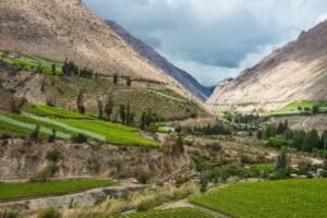 el-molle_-shutterstock-1024x684
