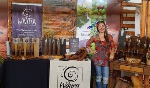 De la provincia de Choapa al mundo: Vinos Wayra obtiene dos medallas de oro en el Catad’Or World Wine Awards