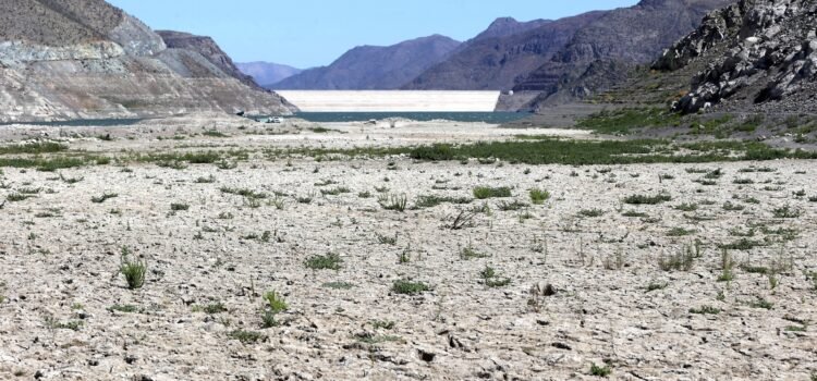 Cores y alcalde de  Combarbalá critican mala articulación de las autoridades regionales por veranadas y Plan Sequía
