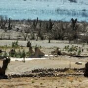 Sequía: Contraloría revisa decreto que establece zona de catástrofe en la región de Coquimbo por crisis hídrica