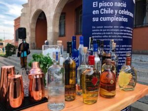 gobierno-y-productores-ponen-en-marcha-plan-de-proteccion-y-promocion-internacional-del-pisco