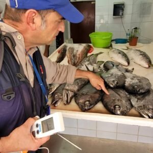 Fiscalización Pescados