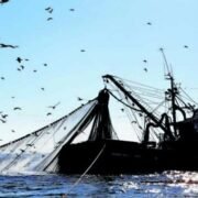 Industriales piden al gobierno no apurar innecesariamente el trámite de la nueva Ley de Pesca
