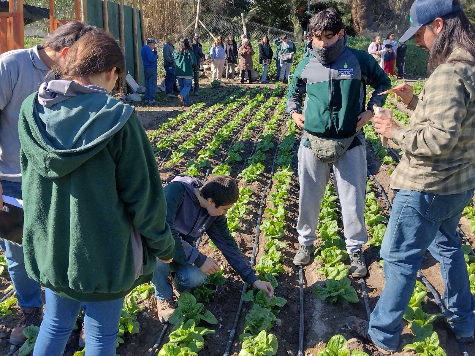 Proyecto de ciencias realizado en Escuela agrícola de Elqui gana reconocimiento de “Elige Innovar”