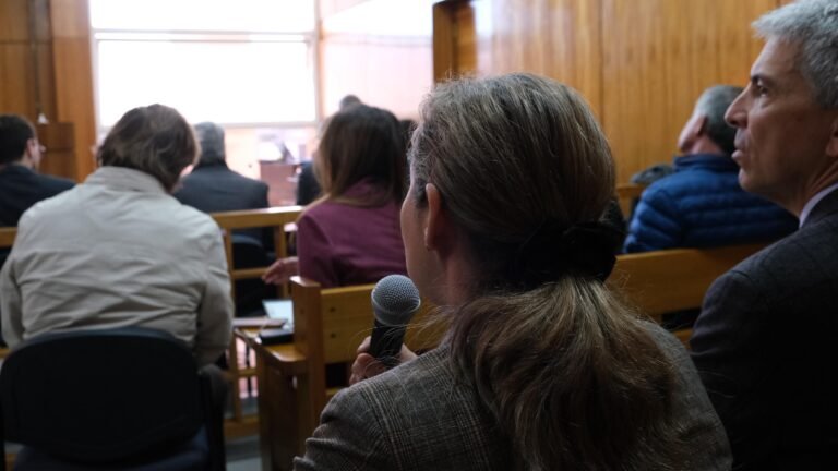 Caso Papaya Gate: Fiscalía formaliza cargos y se decreta continuidad de la audiencia