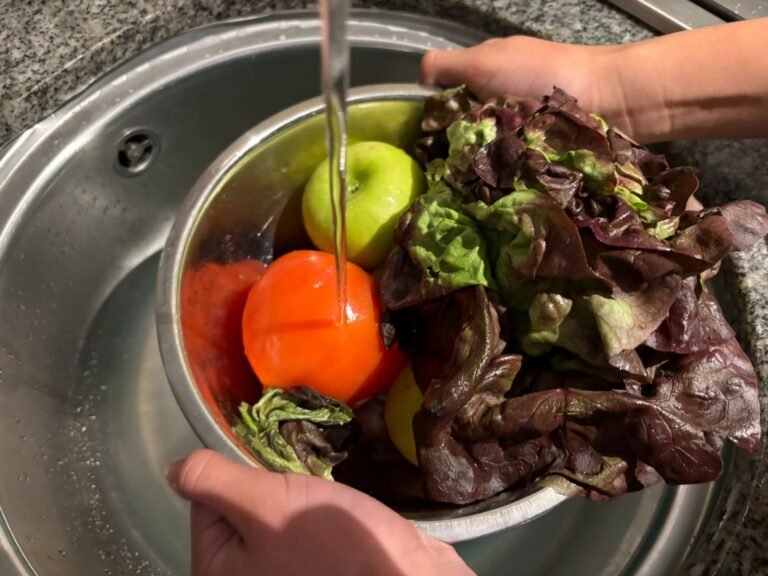 El 27,5% de los brotes de alimentos se originan en el hogar