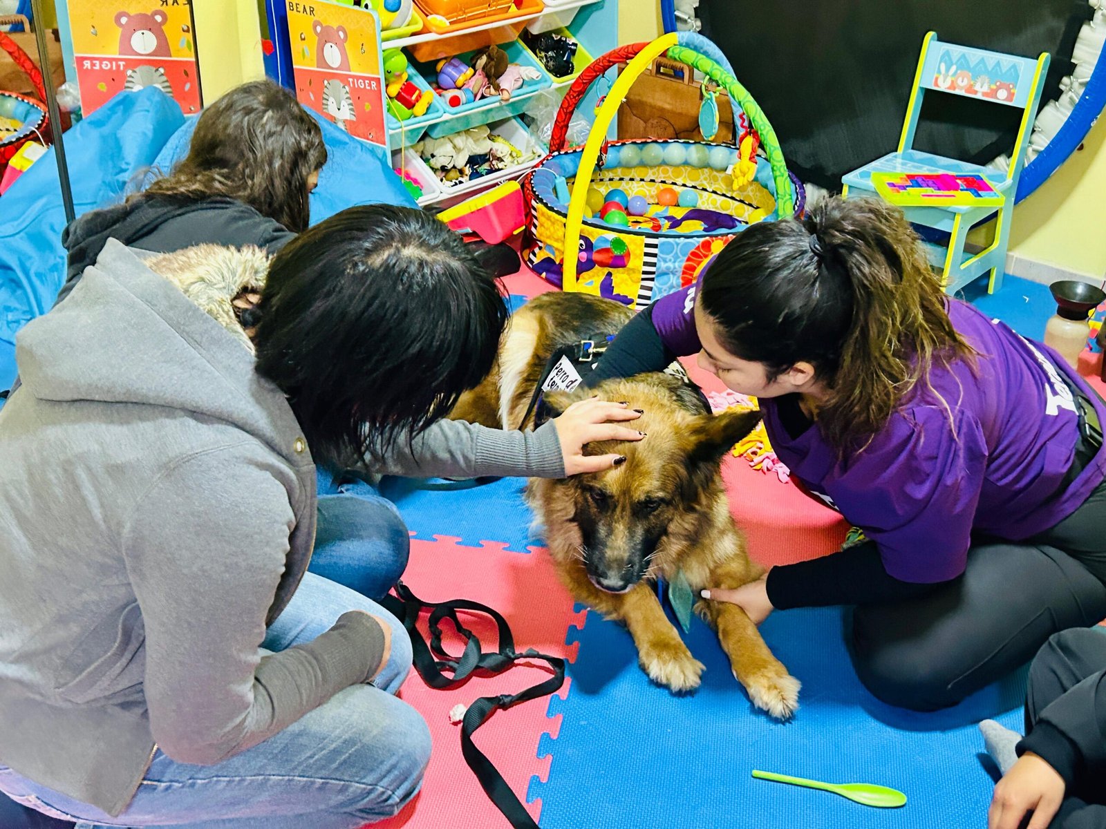 Patitas que curan: terapia con perros adiestrados en el Hospital de Coquimbo