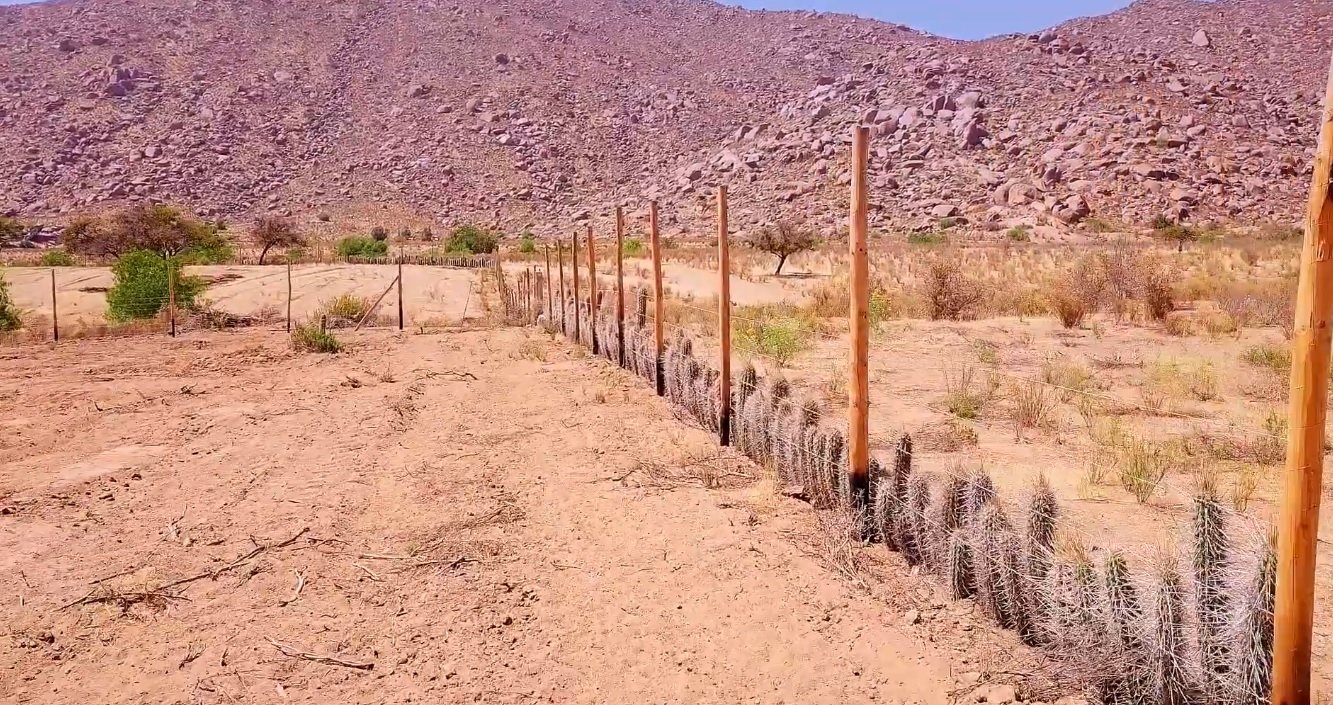 INDAP abre llamado a segundo concurso público para recuperar y/o mantener los suelos agropecuarios
