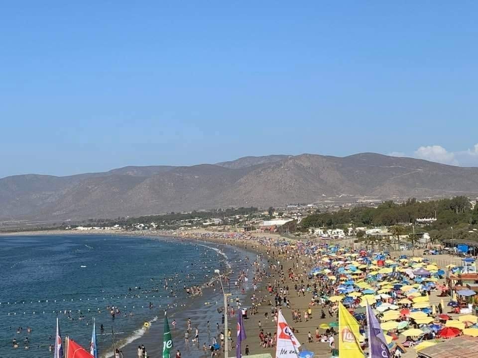 Sernapesca presentará denuncia por hostigamiento a delfines en Guanaqueros