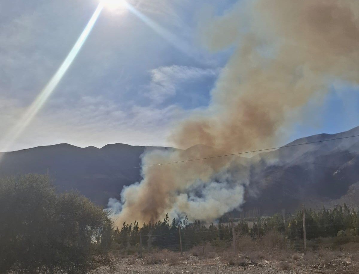 Declaran alerta roja por incendio forestal en el sector Puclaro