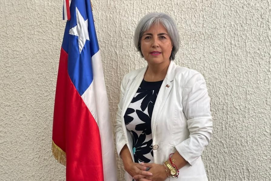 Delegada Presidencial de Limarí niega participación en la “Cuota Fuenzalida”