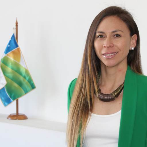 CONSEJERA XIMENA AMPUERO SOBRE FINANCIAMIENTO DE RECONSTRUCCIÓN PARA 2026: “ES UN DESAFÍO”