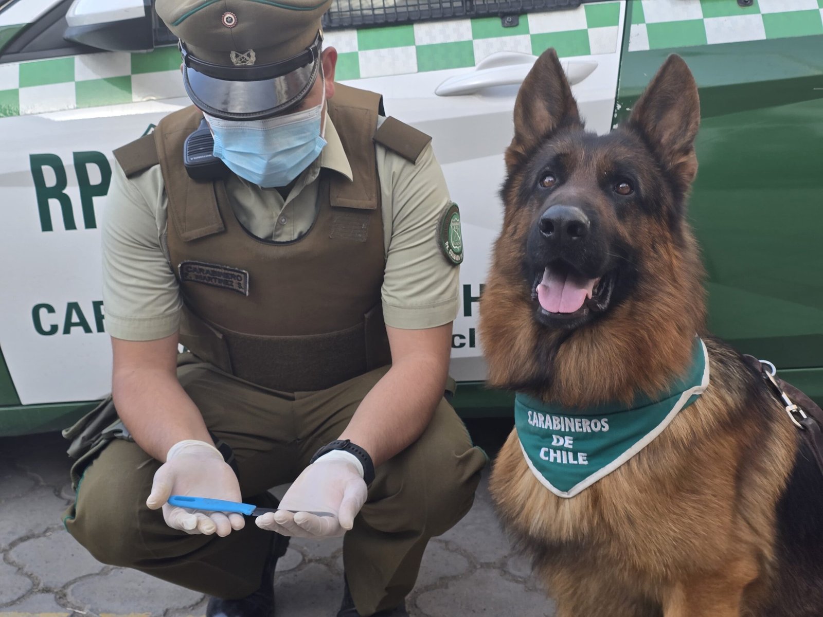 URÁN EN ACCIÓN: PERRO POLICIAL APOYÓ DETENCIÓN DE HOMBRE ARMADO EN EL CENTRO DE LA SERENA