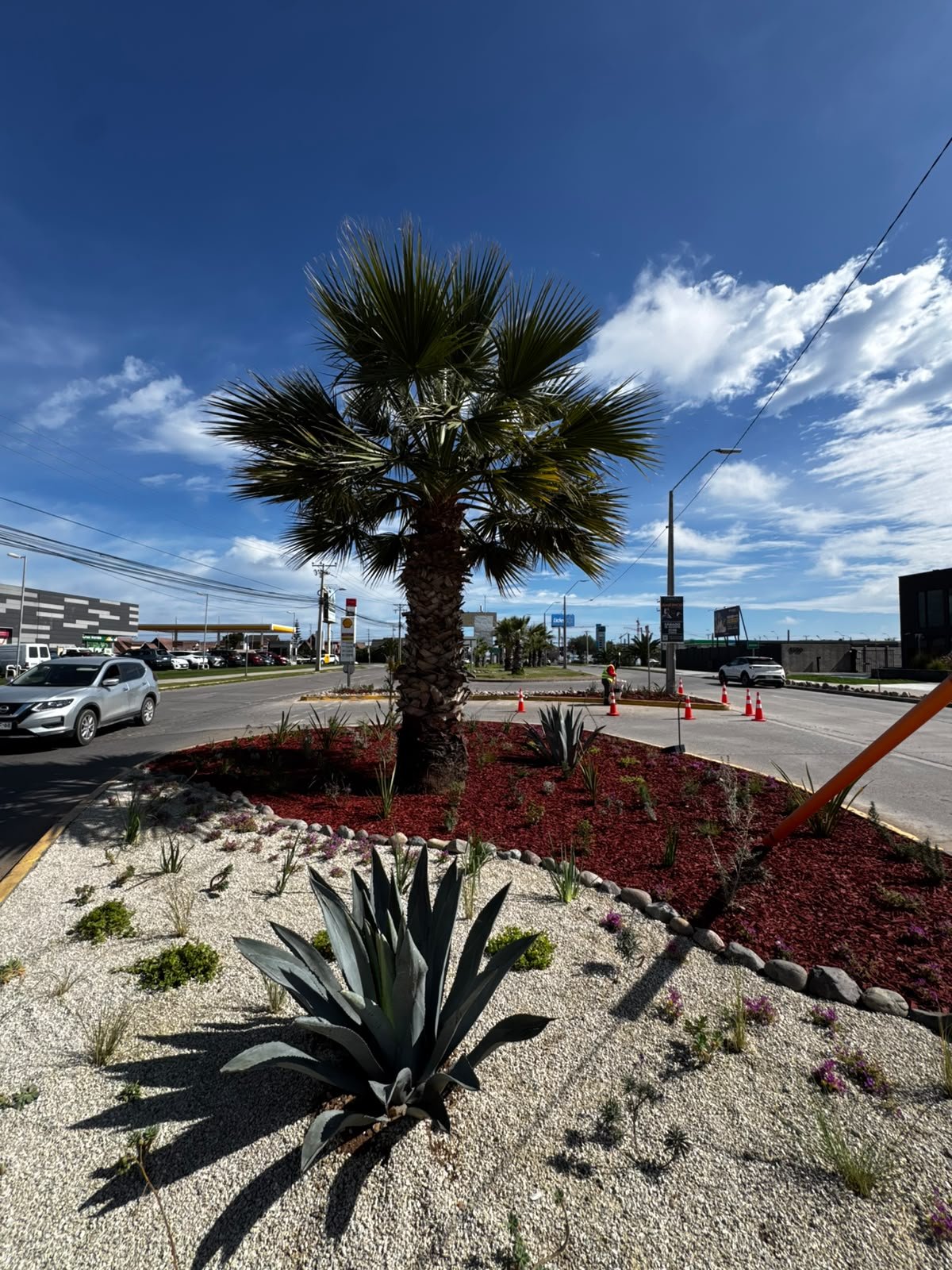 LA SERENA RECUPERA ESPACIOS PÚBLICOS CON PAISAJISMO SUSTENTABLE