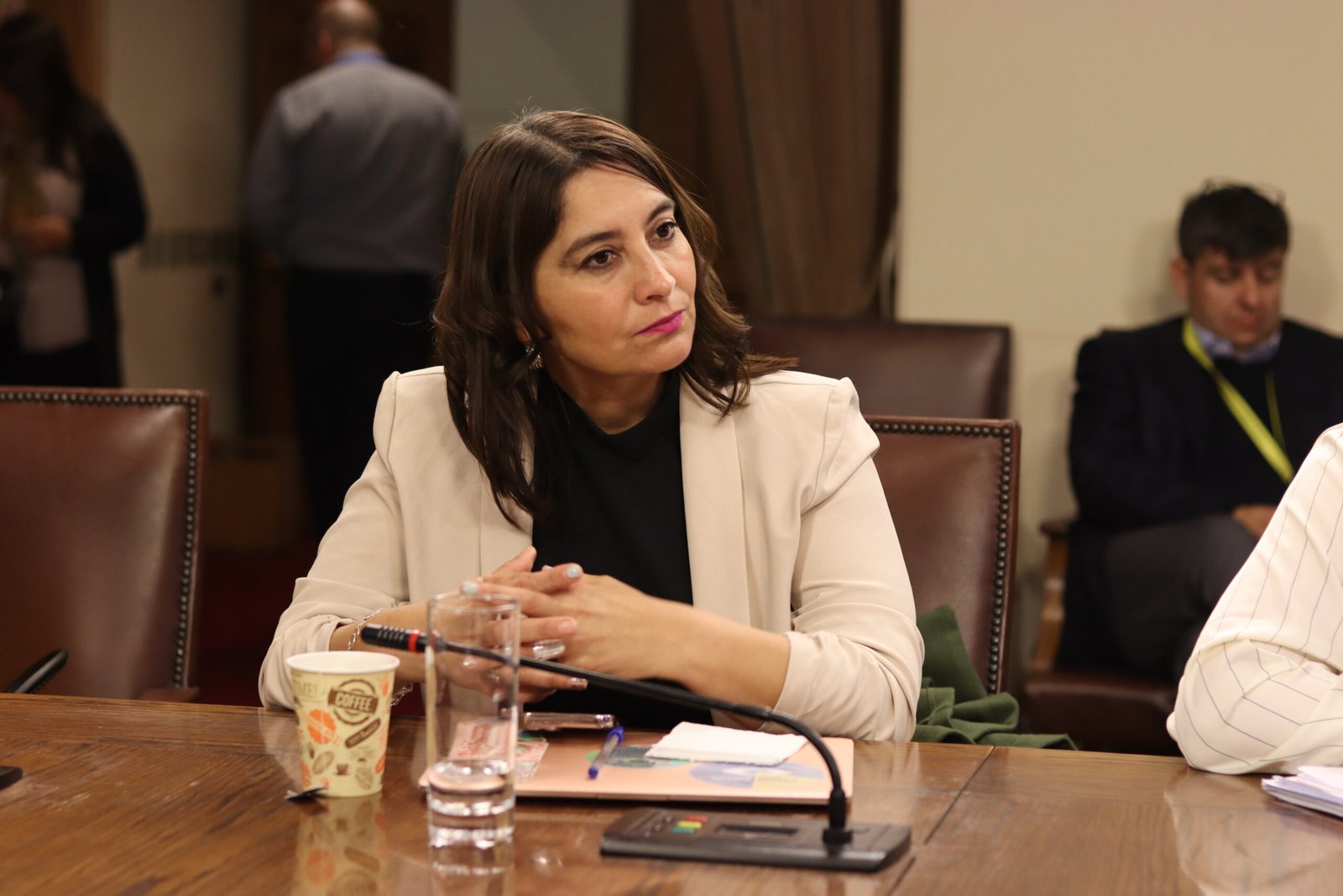 DIPUTADA NATHALIE CASTILLO PIDE FISCALIZAR A AFP MODELO POR CORREO A AFILIADOS SOBRE PRESUPUESTO 2027