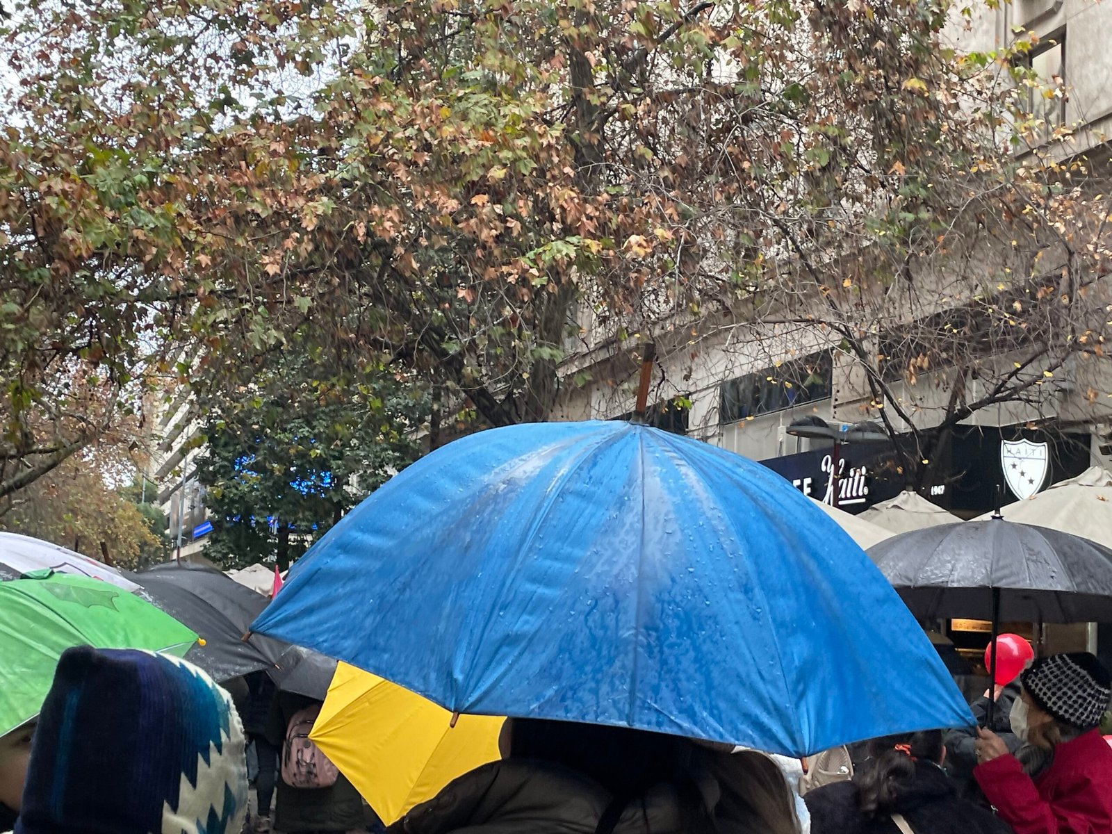 CEAZA ADVIERTE QUE PODRÍAN REGISTRARSE NUEVAS LLUVIAS EN COQUIMBO: INTENSIFICACIÓN DE EL NIÑO FAVORECERÍA SISTEMAS FRONTALES FUERA DE TEMPORADA