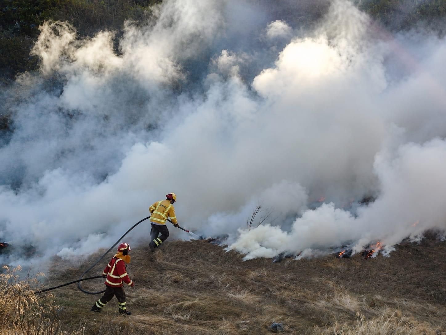 REGIÓN DE COQUIMBO SE PREPARA PARA UNA TEMPORADA DE INCENDIOS FORESTALES MARCADA POR ALTAS TEMPERATURAS Y MAYOR VEGETACIÓN SECA