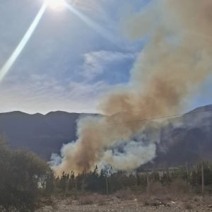 Declaran alerta roja por incendio forestal en el sector Puclaro