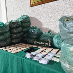 Carabineros desarticula centro de acopio de droga en Punitaqui y decomisa 164 kilos de marihuana